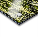 Essence Acrylic print