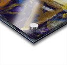 Historic Finds Acrylic print