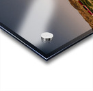 3 Miles of Red Boxcars Somewhere in Space Acrylic print