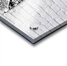 Leaves in Black and White Acrylic print