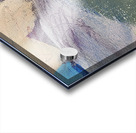 In The FLow  Acrylic print