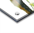 Laguna Marsh View In Motion Acrylic print