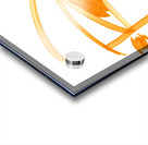 Line Portrait - Tangerine Acrylic print