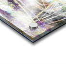 Roads Well Traveled Acrylic print