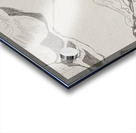 Silverpoint Landscape View Acrylic print