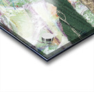 Sonoma Hills -2  Acrylic print