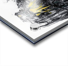 Wanderers Emerging Colors Now Acrylic print