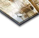 Historic House from 1800s  Acrylic print