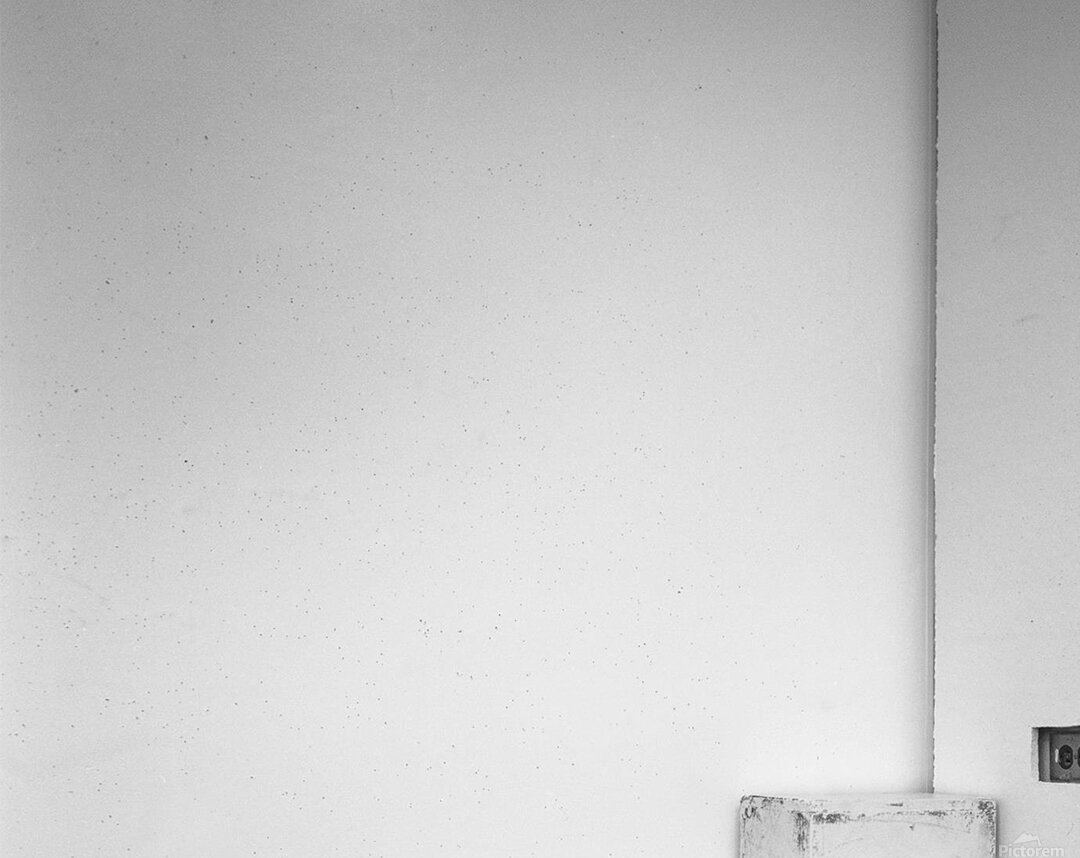 Leaves in Black and White Acrylic Print