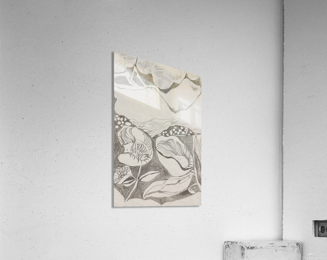 Silverpoint Landscape View Acrylic Print