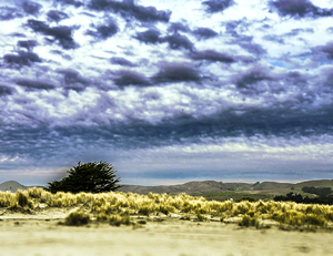 Alone Waiting for Rain