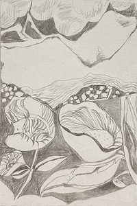 Silverpoint Landscape View 1 