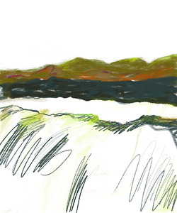 Laguna Marsh View In Motion