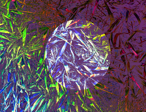 Grasses in layers Print