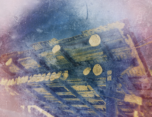 Abalone Shells at China Camp Print