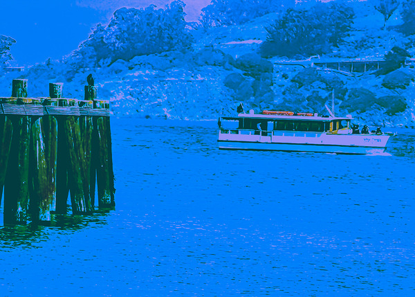 A Bird and a Boat on the Bay Print