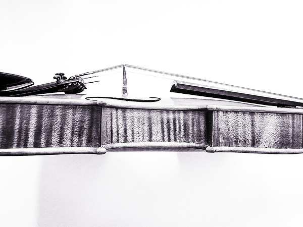 Fiddle in Black and White Print