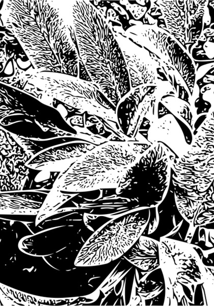 Leaves in Black and White Print