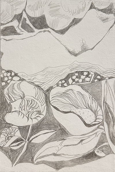 Silverpoint Landscape View 1  Print