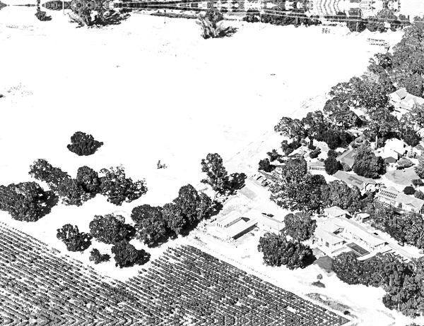 Abstract Fields Print