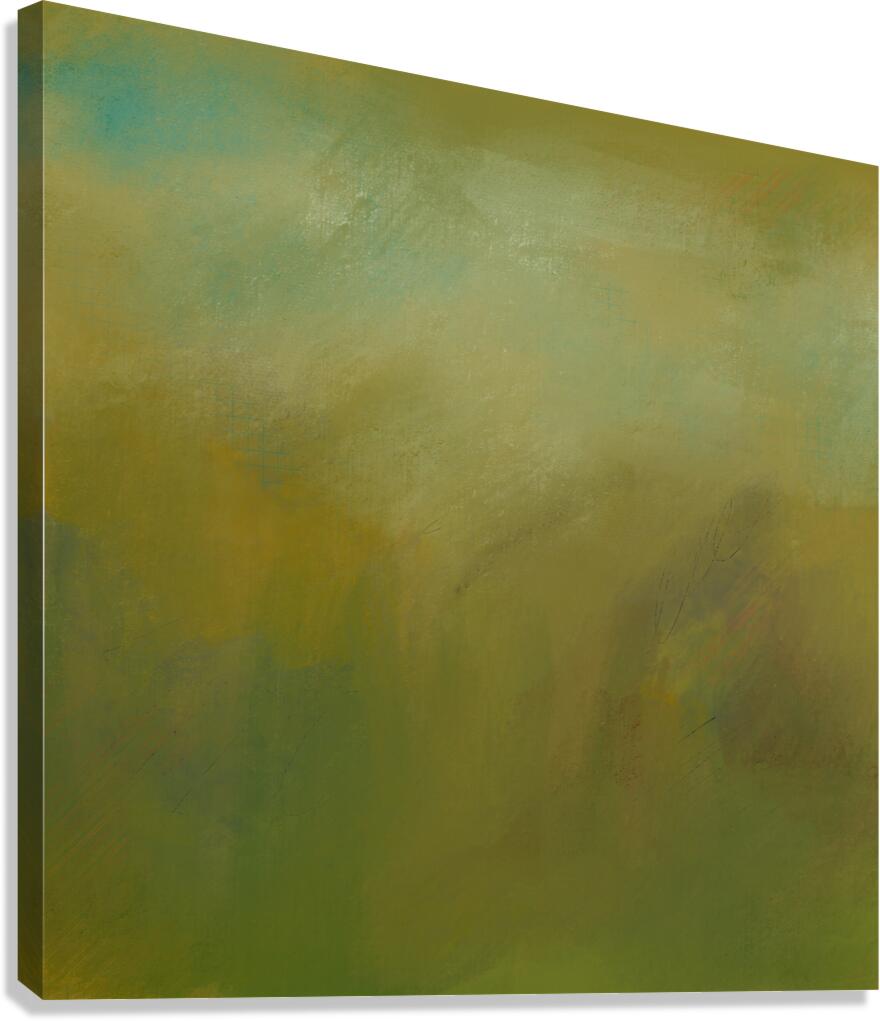 In the Blink of an Eye   Canvas Print