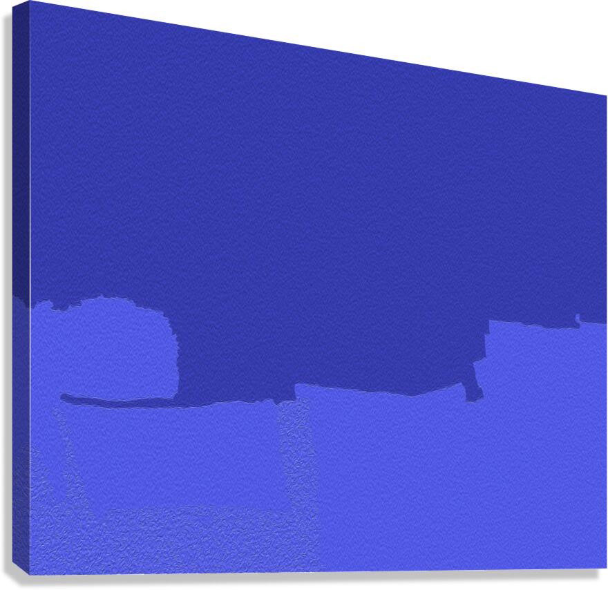 Water Landing Canvas Print