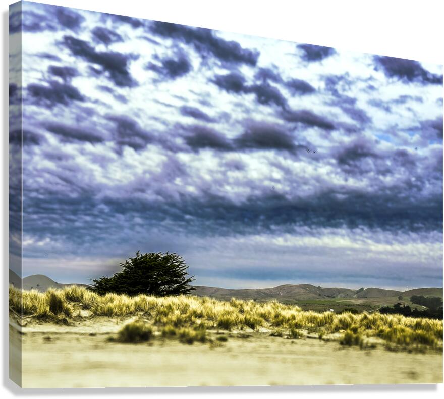 Alone Waiting for Rain Canvas Print