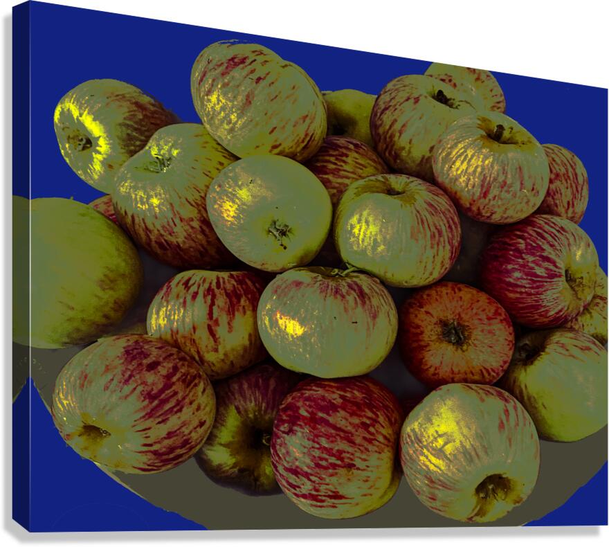 Apples on Blue Canvas Print