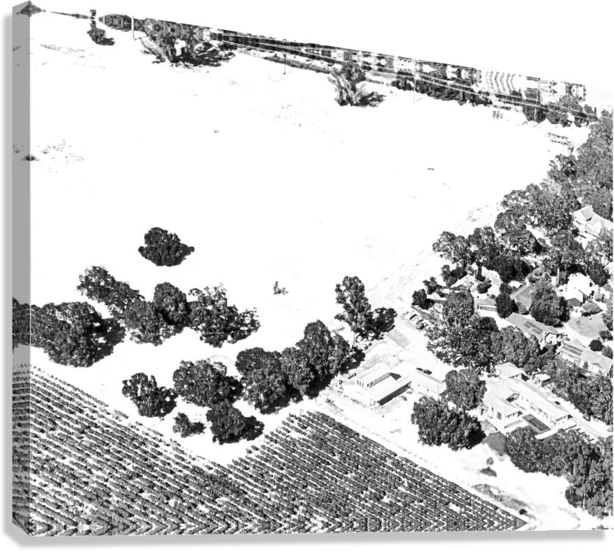 Abstract Fields Canvas Print