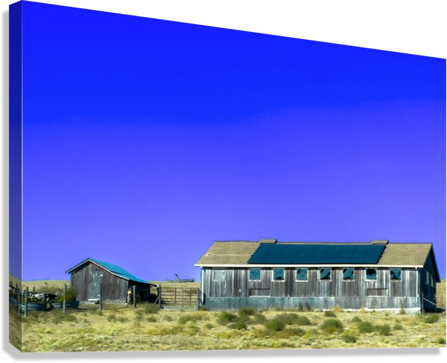 Blue Roof Shed  Canvas Print