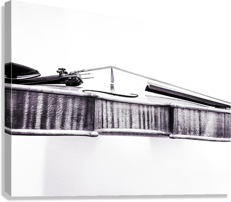 Fiddle in Black and White Canvas Print