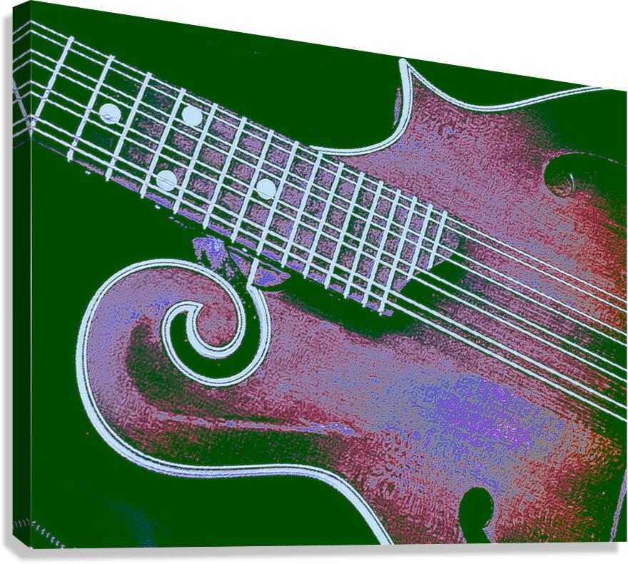 Mandolin  Canvas Print