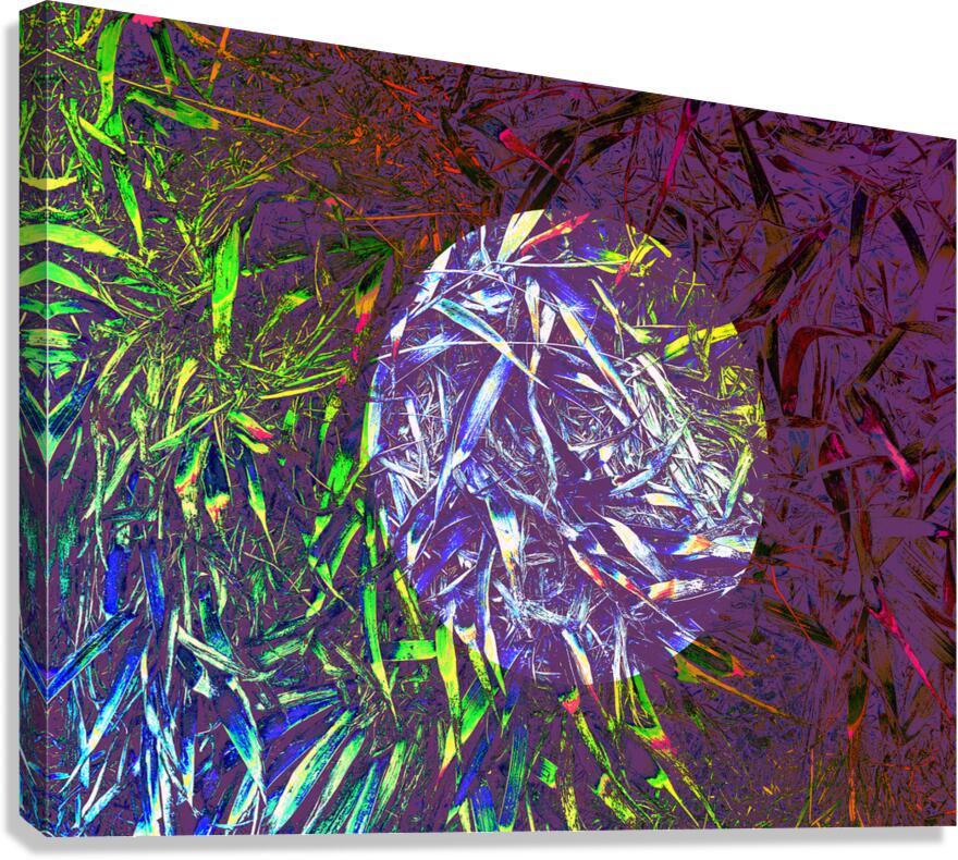 Grasses in layers Canvas Print