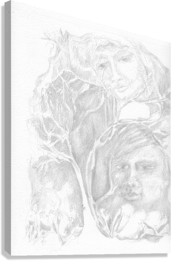 Dreamscapes - Silverpoint - Living in Trees Canvas Print