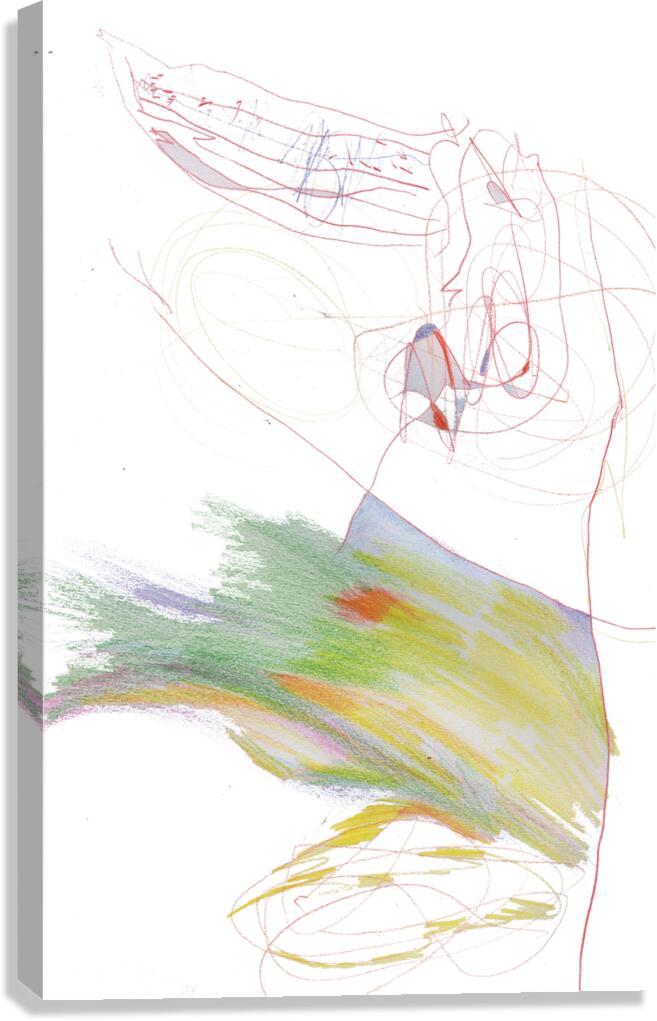 Dreaming in Color  Canvas Print