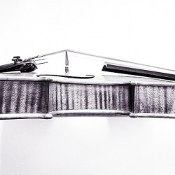 Fiddle in Black and White