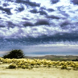 Alone Waiting for Rain