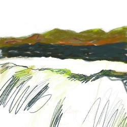 Laguna Marsh View In Motion