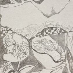 Silverpoint Landscape View