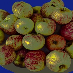 Apples on Blue