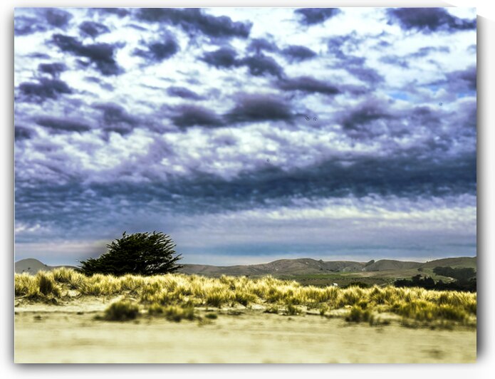 Alone Waiting for Rain by Barbara Jacobs