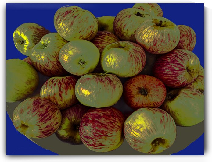 Apples on Blue by Barbara Jacobs