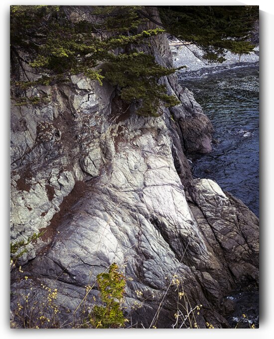 Cliff and Sea  by Barbara Jacobs