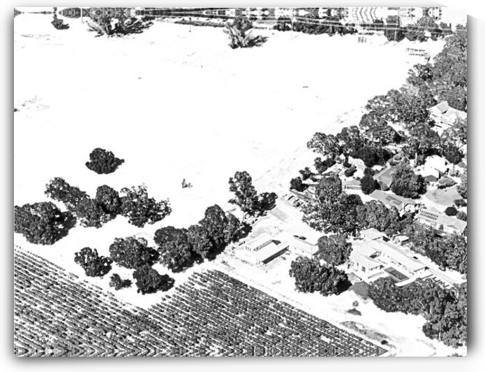 Abstract Fields by Barbara Jacobs