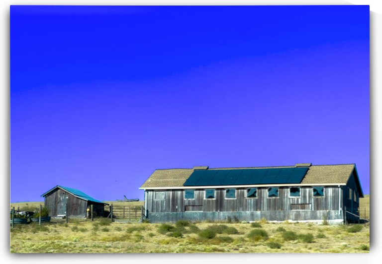 Blue Roof Shed  by Barbara Jacobs