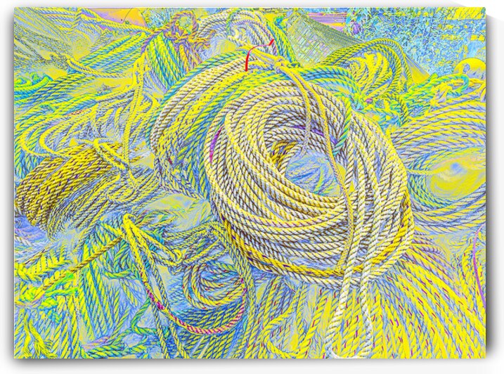 Brilliant Lines by Barbara Jacobs