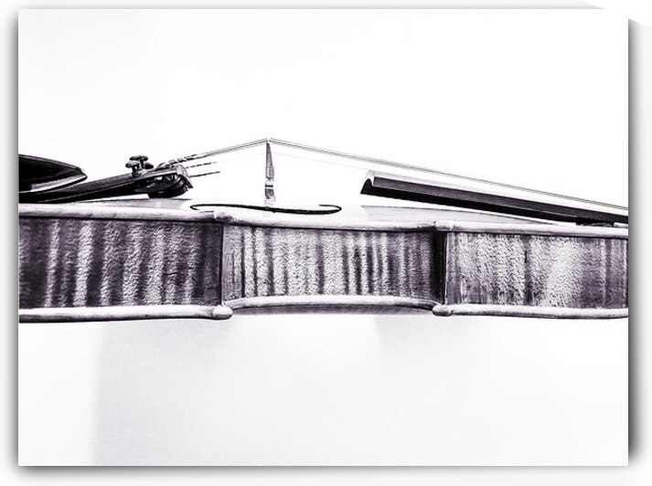 Fiddle in Black and White by Barbara Jacobs