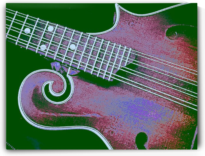 Mandolin  by Barbara Jacobs