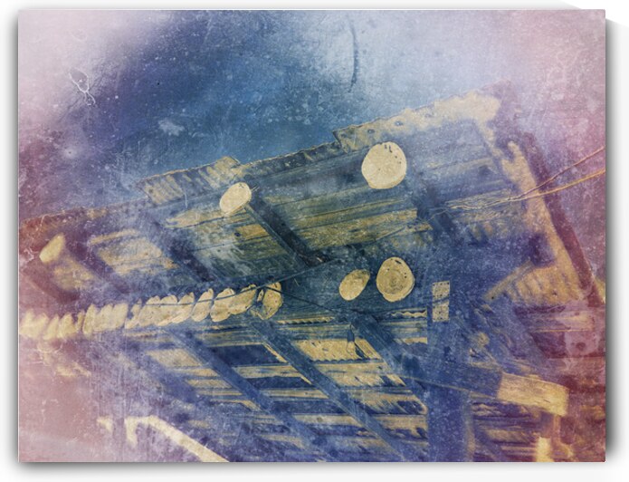 Abalone Shells at China Camp by Barbara Jacobs