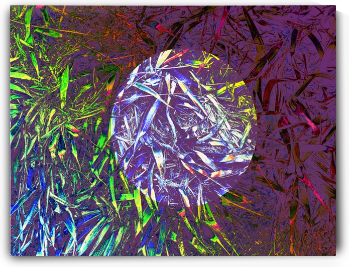 Grasses in layers by Barbara Jacobs